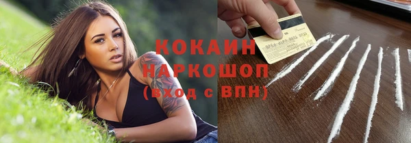 хмурый Абаза