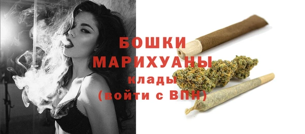 трава Переславль-Залесский