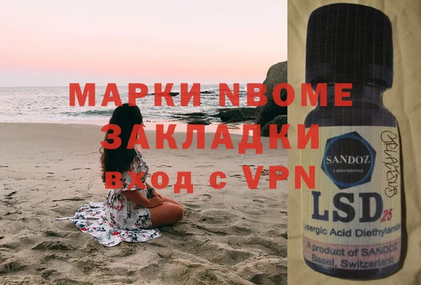 хмурый Абаза