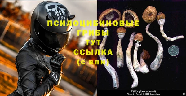 трава Переславль-Залесский