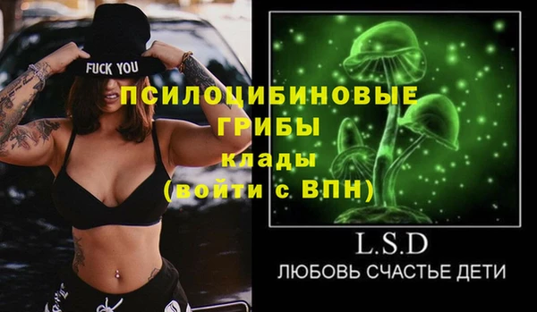 хмурый Абаза